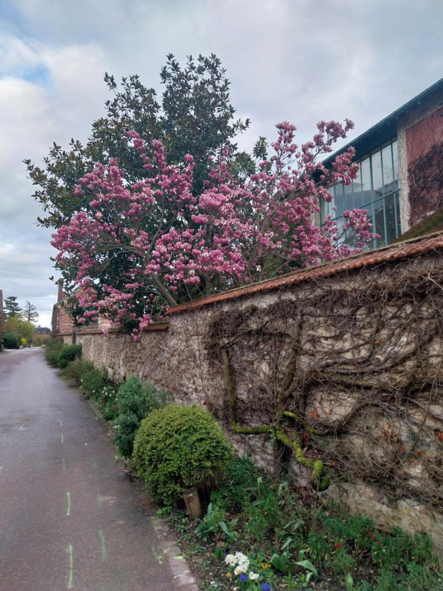Le Prieure Reposant Hotel Port-Villez Exterior photo
